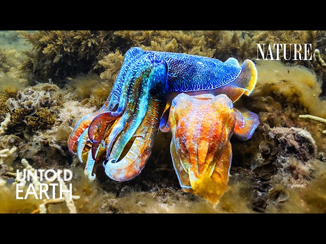 We Crashed the Ocean’s Freakiest Breeding Ground