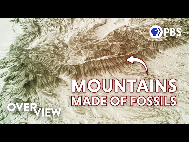 Earth's Worst Mass Extinction Is Actually a Warning