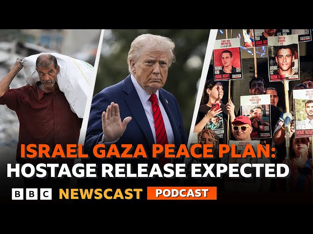 What does the next stage in the Israel-Gaza peace plan look like? | BBC Newscast