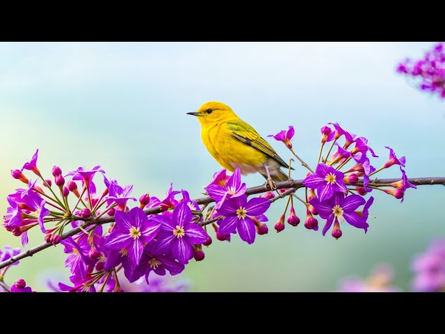 Успокойте нервную систему 🌿 Успокаивает сердце и кровеносные сосуды, снимая стресс