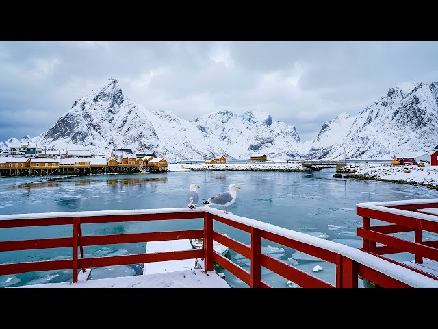 Успокаивающая музыка для нервов ❄️ лечебная музыка для сердца и сосудов, релакс, музыка для души