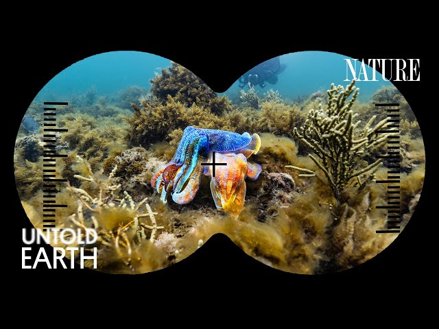 We Crashed the Ocean’s Freakiest Breeding Ground