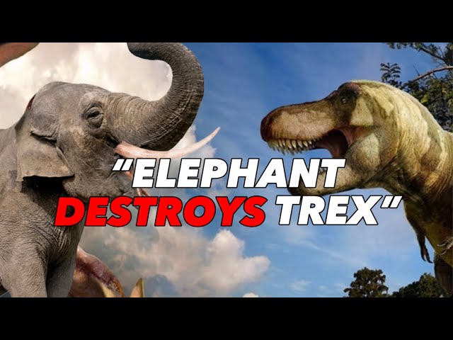 What Mammals Could Survive With Dinosaurs - Tier List