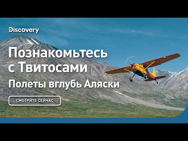 Познакомьтесь с Твитосами | Полеты вглубь Аляски | Discovery