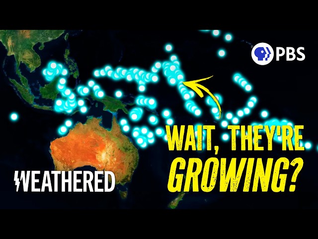 If the Sea REALLY Is Rising, Why Haven't These Islands Disappeared?