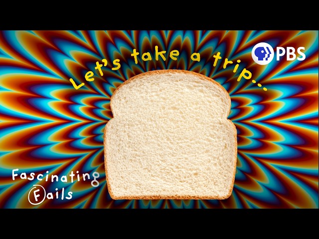 How Moldy Bread Can Change Your Brain