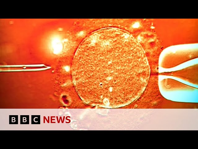 Sperm from donor with cancer-causing gene was used to conceive almost 200 children | BBC News