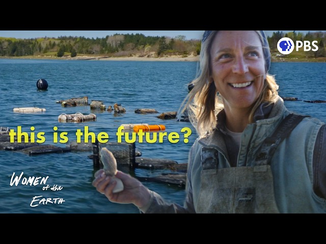 How Microplastics Infiltrated Our Food (And One Way To Get Them Out)