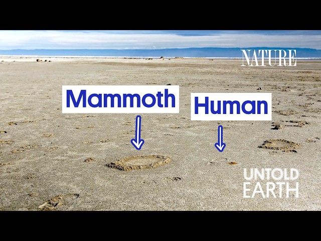 These Ancient Footprints Rewrite Human History