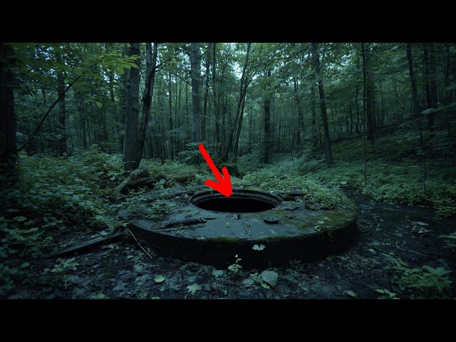 The Most Disturbing Disappearances