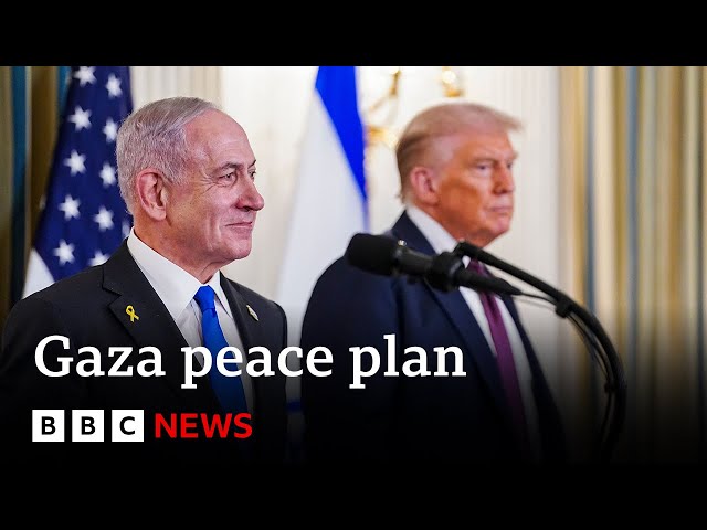 Trump peace plan 'ignores interests of Palestinian people', Hamas official says | BBC News