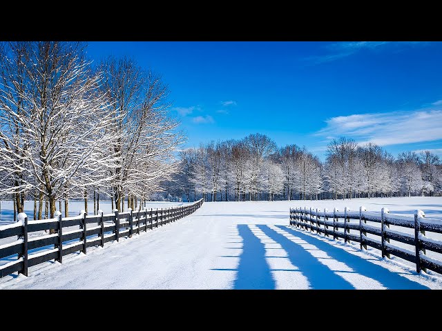 Лечебная Музыка для Снятия Стресса ❄ Усталости, Депрессии, Негатива, Детокс негативных эмоций #39