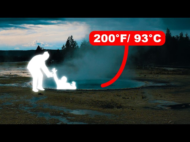 The Horrifying Deaths of Yellowstone National Park