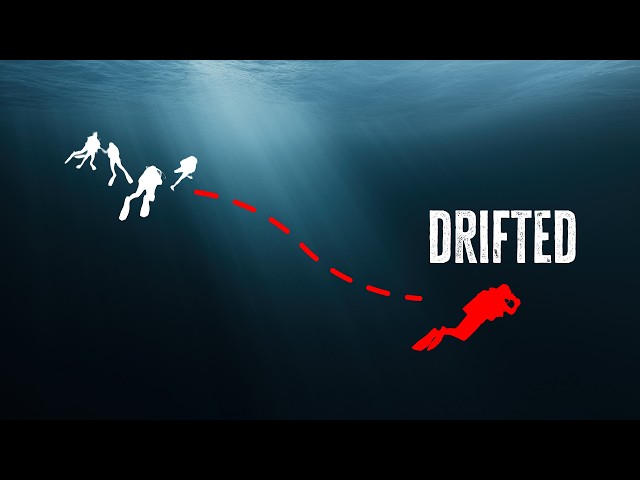 When a Diver Is Found in a Shark’s Stomach