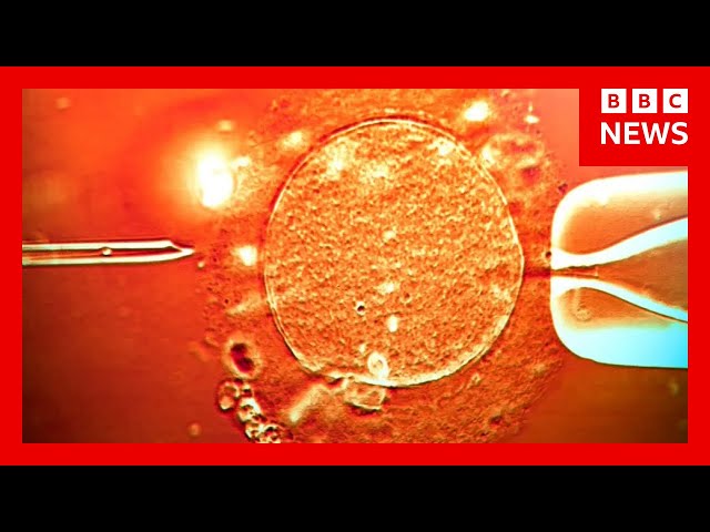 Sperm from donor with cancer-causing gene was used to conceive almost 200 children | BBC News