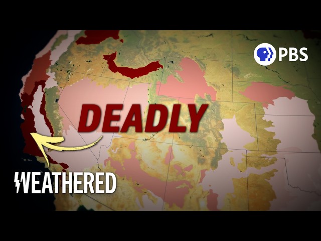 The Most Dangerous Wildfires All Have ONE THING in Common