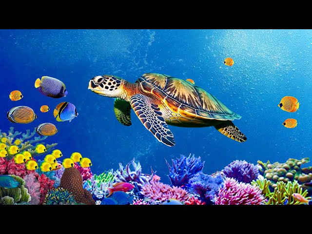 Нежная лечебная музыка здоровья и для успокоения нервной системы, глубокого релакса ! Скажи Жизни Да