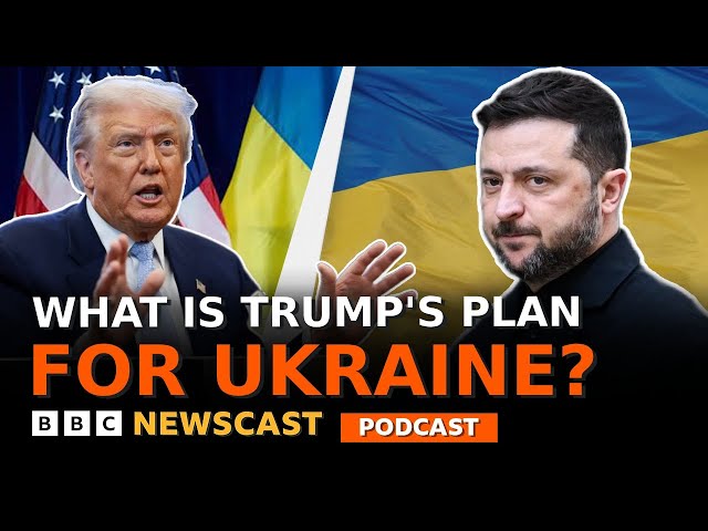 Does President Trump's plan bring Russia and Ukraine any closer to peace? | BBC Newscast