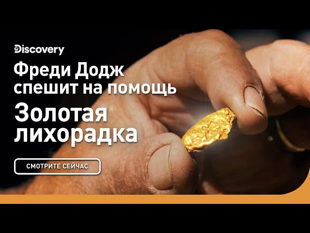 Фредди Додж спешит на помощь | Золотая лихорадка | Discovery