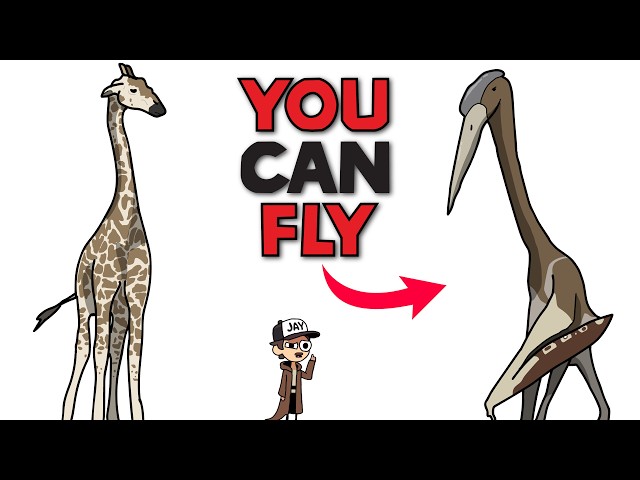 Your Life as a Quetzalcoatlus