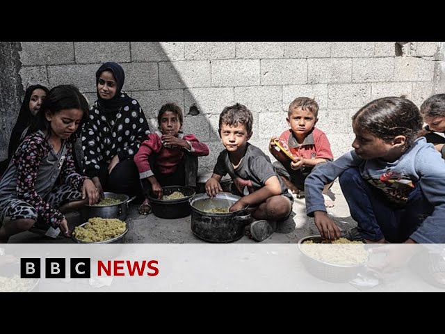 Gaza experiencing health ‘catastrophe’ that will last generations, says WHO | BBC News