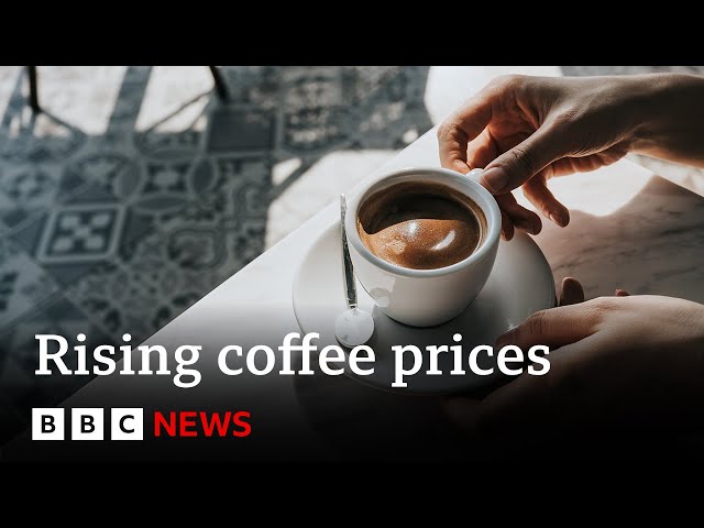 Why is the price of coffee rising so much? | BBC News