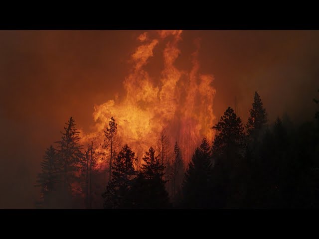 The Discovery of Fire