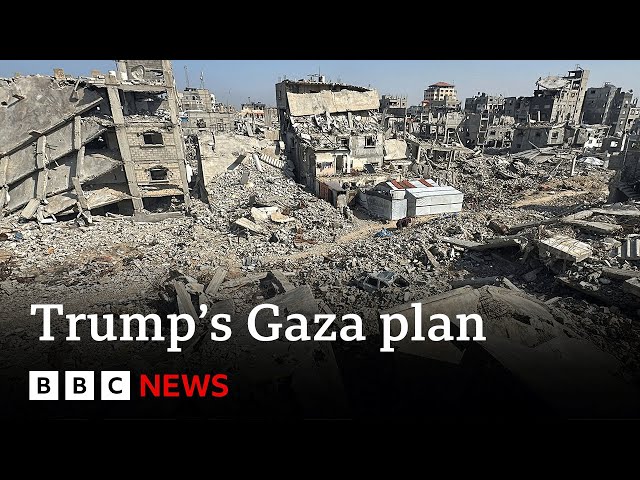 Donald Trump's plan for Gaza backed by UN Security Council | BBC News