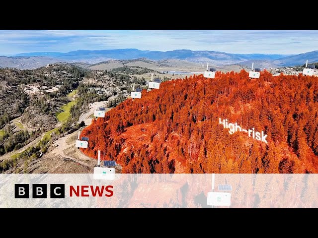 Can new technology help detect wildfires? | BBC News