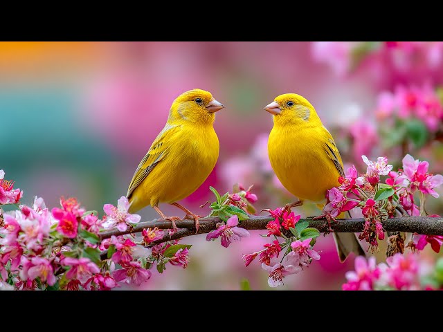 ВОССТАНОВЛЕНИЕ НЕРВНОЙ СИСТЕМЫ 🌿 Нежная музыка, успокаивает нервную систему и радует душу
