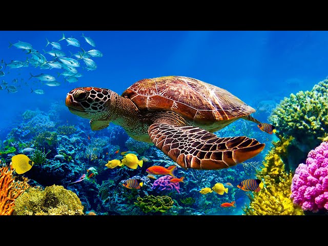 Нежный и крепкий СОН, глубокий релакс и успокоение нервной системы #6