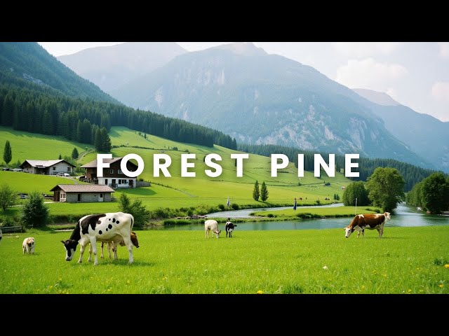 Forest Pine - Lucid Dream