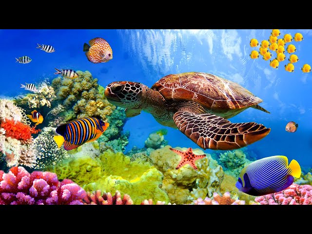 Нежный и крепкий СОН, глубокий релакс и успокоение нервной системы #7