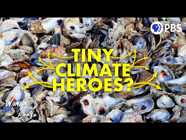 How Microplastics Infiltrated Our Food (And One Way To Get Them Out)