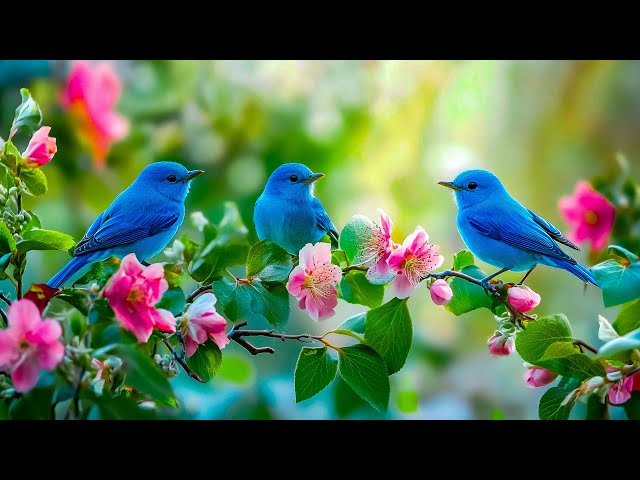 Успокаивающая музыка для нервов 🌿 лечебная музыка для сердца и сосудов, релакс, музыка для души