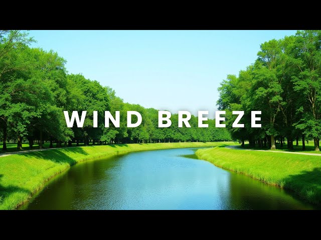 Wind Breeze - Lucid Dream