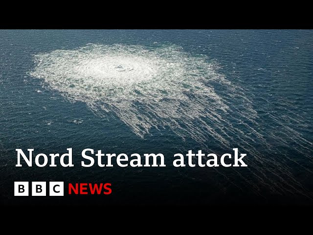 Ukrainian man arrested over Nord Stream gas pipelines blast | BBC News