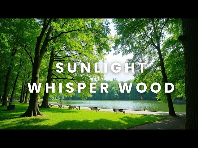Sunlight Whisper Wood - Lucid Dream