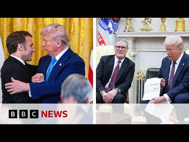 Will President Trump's leaders meetings bring Ukraine closer to peace?  | BBC News