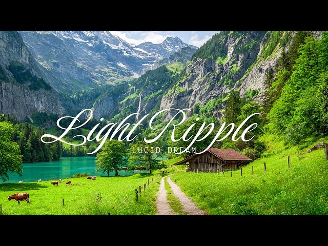 Light Ripple - Lucid Dream