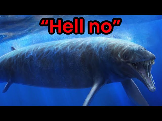 The Unsettling Origins of Whales