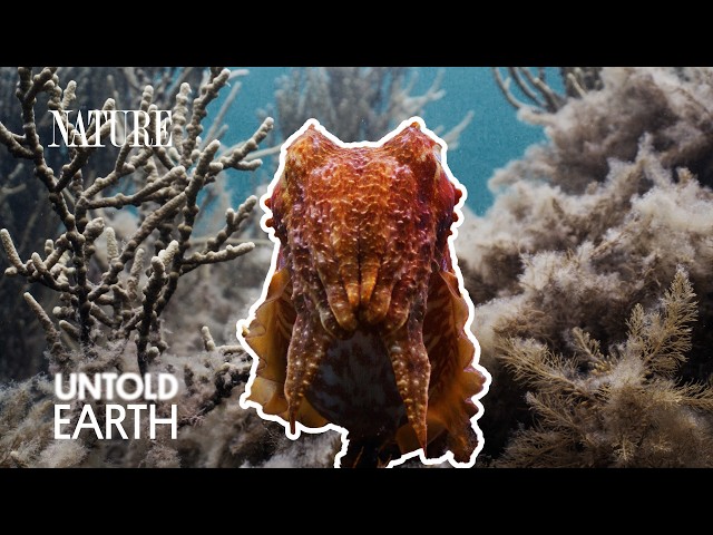 We Crashed the Ocean’s Freakiest Breeding Ground