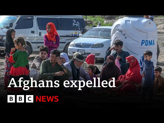 Pakistan expels tens of thousands of Afghans | BBC News