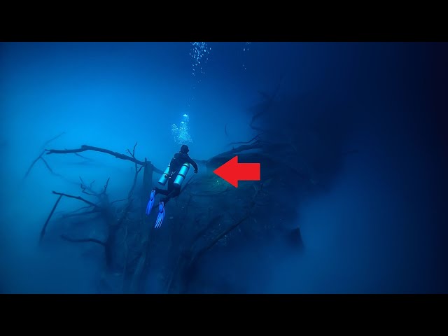 Divers TRAPPED On The Ocean Floor | Diving Gone Wrong