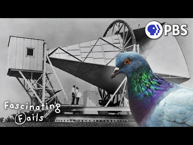 How Pigeon Poop Helped Unlock the Universe’s Secrets