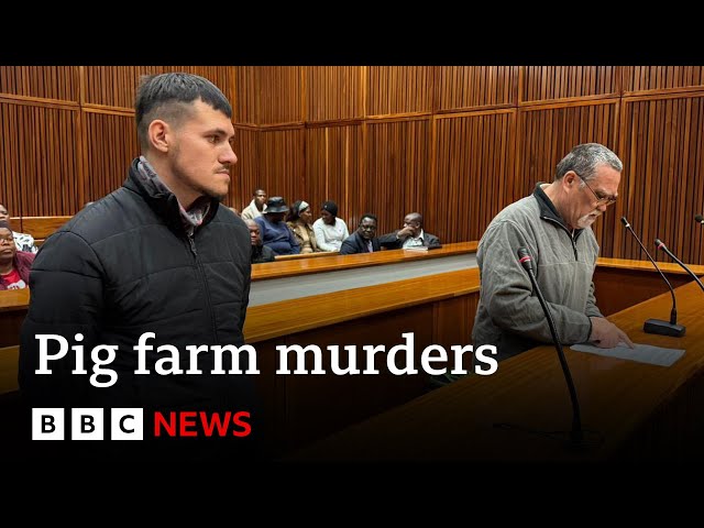 South African farmer on trial accused of feeding women to pigs | BBC News