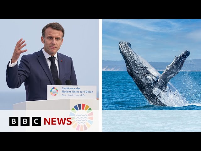 ‘Oceans are not for sale’, says French President Emmanuel Macron | BBC News