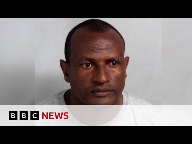David Lammy tells UK MPs human error led to migrant sex offender release | BBC News