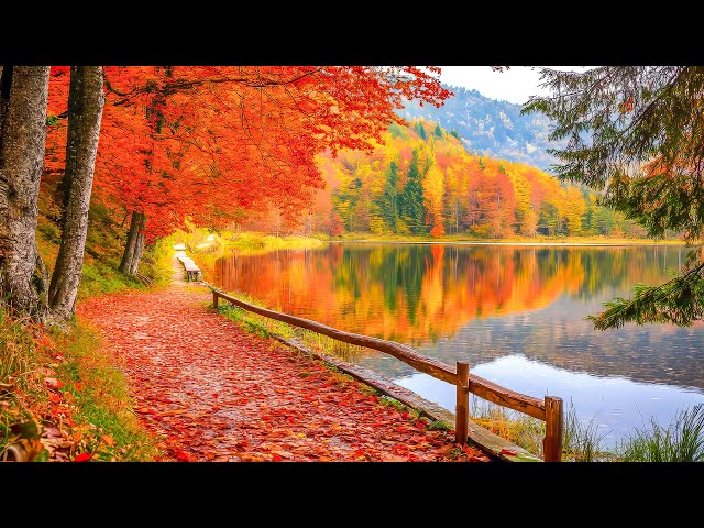 Stress Relief Music 🍁 Beautiful Autumn Melodies to Soothe Your Mind Mind, Body and Pleases The Soul