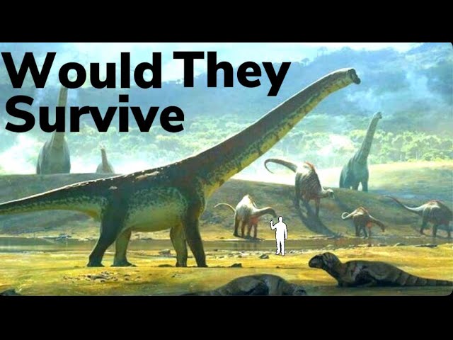 Could Sauropods Survive Today?